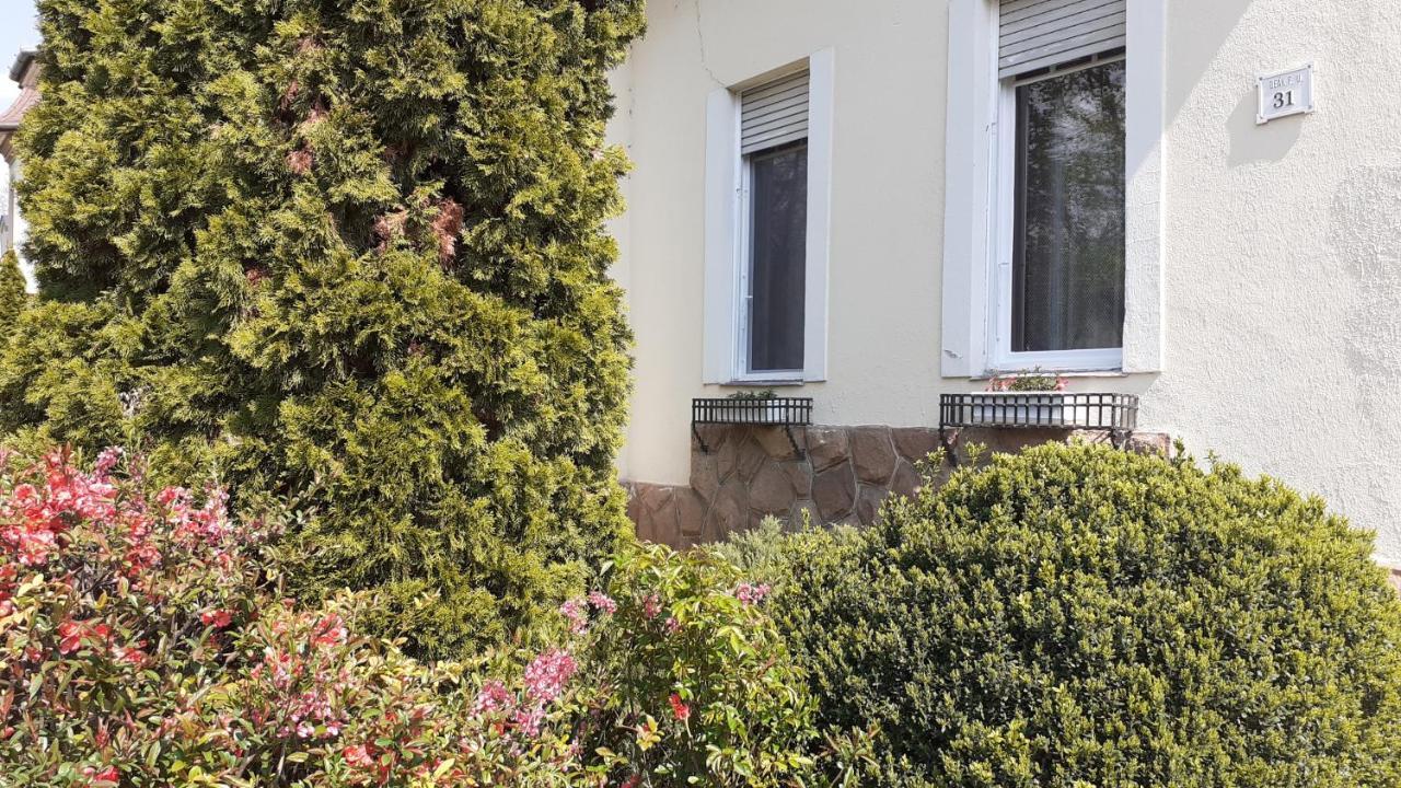 Ekszerdoboz Apartman Eger Leilighet Eksteriør bilde